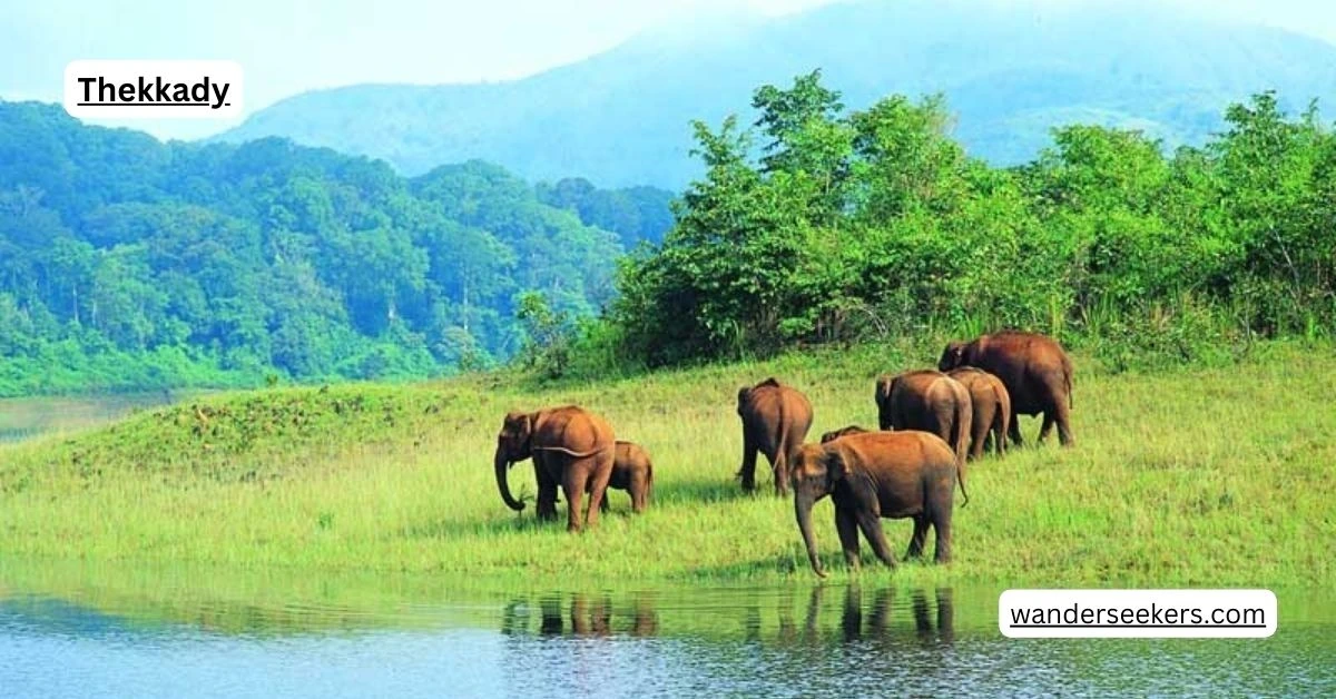 Thekkady
